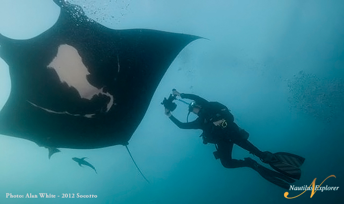 Giant Manta Socorro Diving