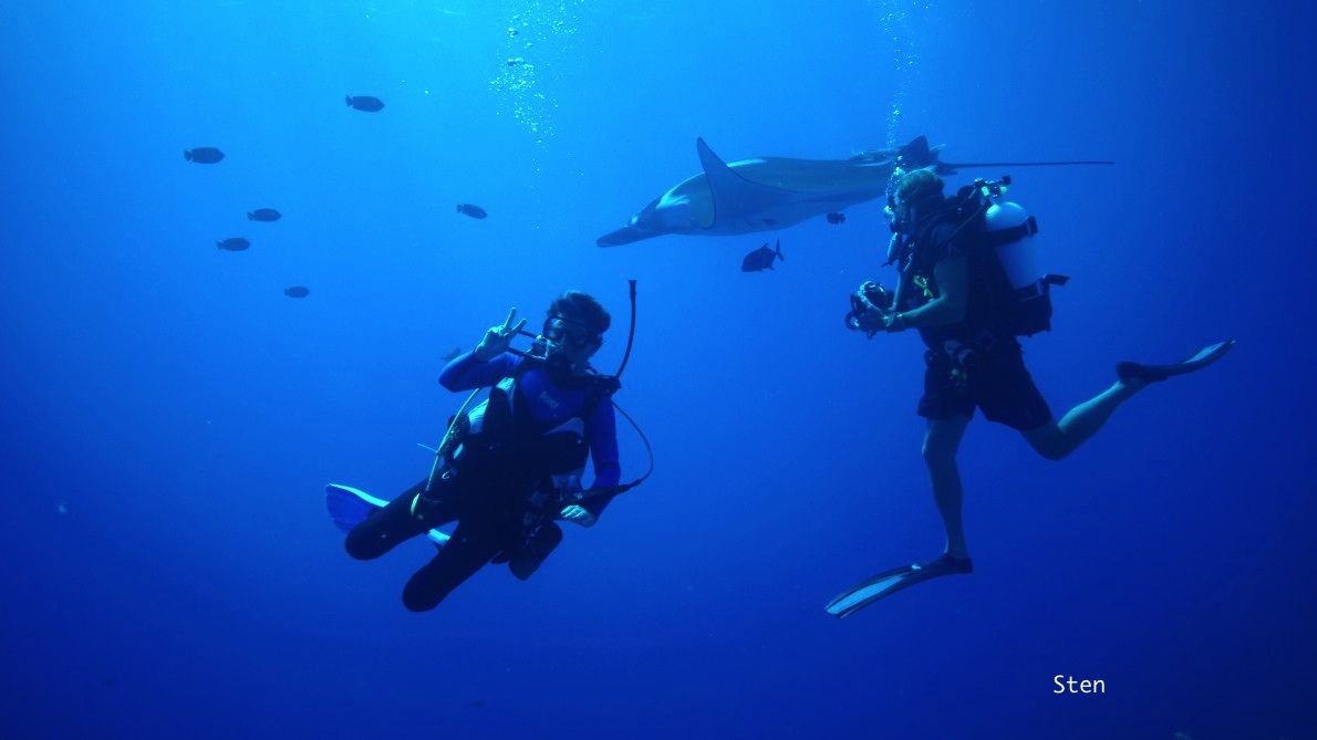 divers and giant manta