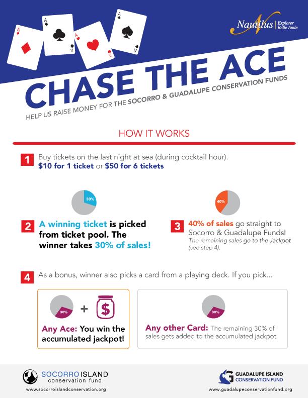 Chase The Ace Winner!