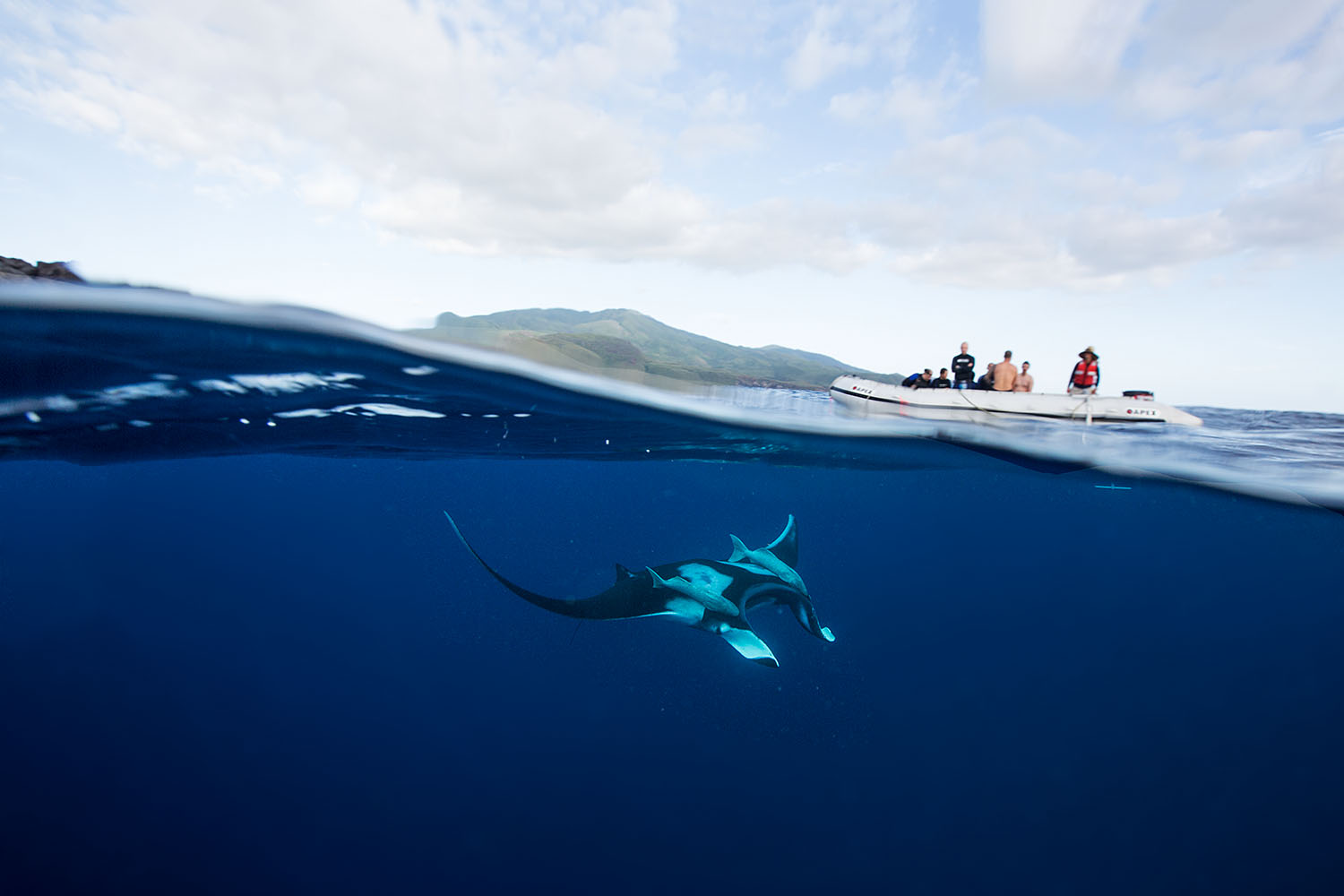 Mnata Ray, scuba diving tours