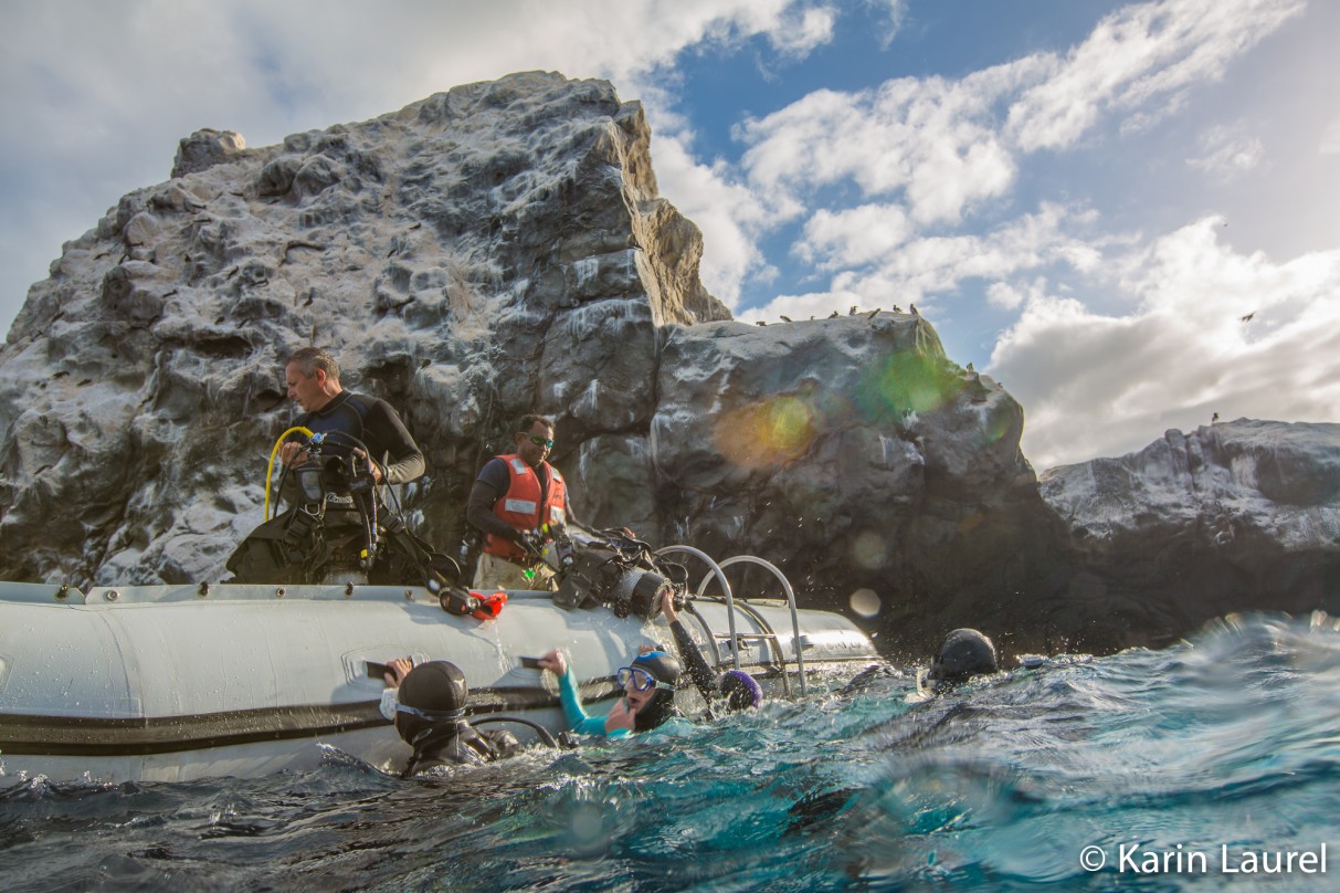 Scuba diving tours in the Sea of Cortez
