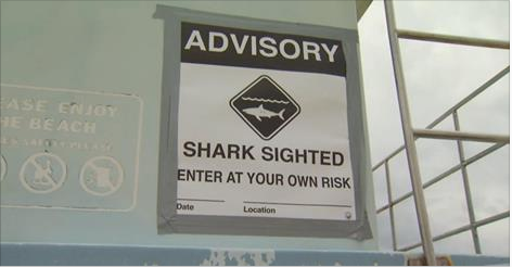 shark advisory sign in long beach CA
