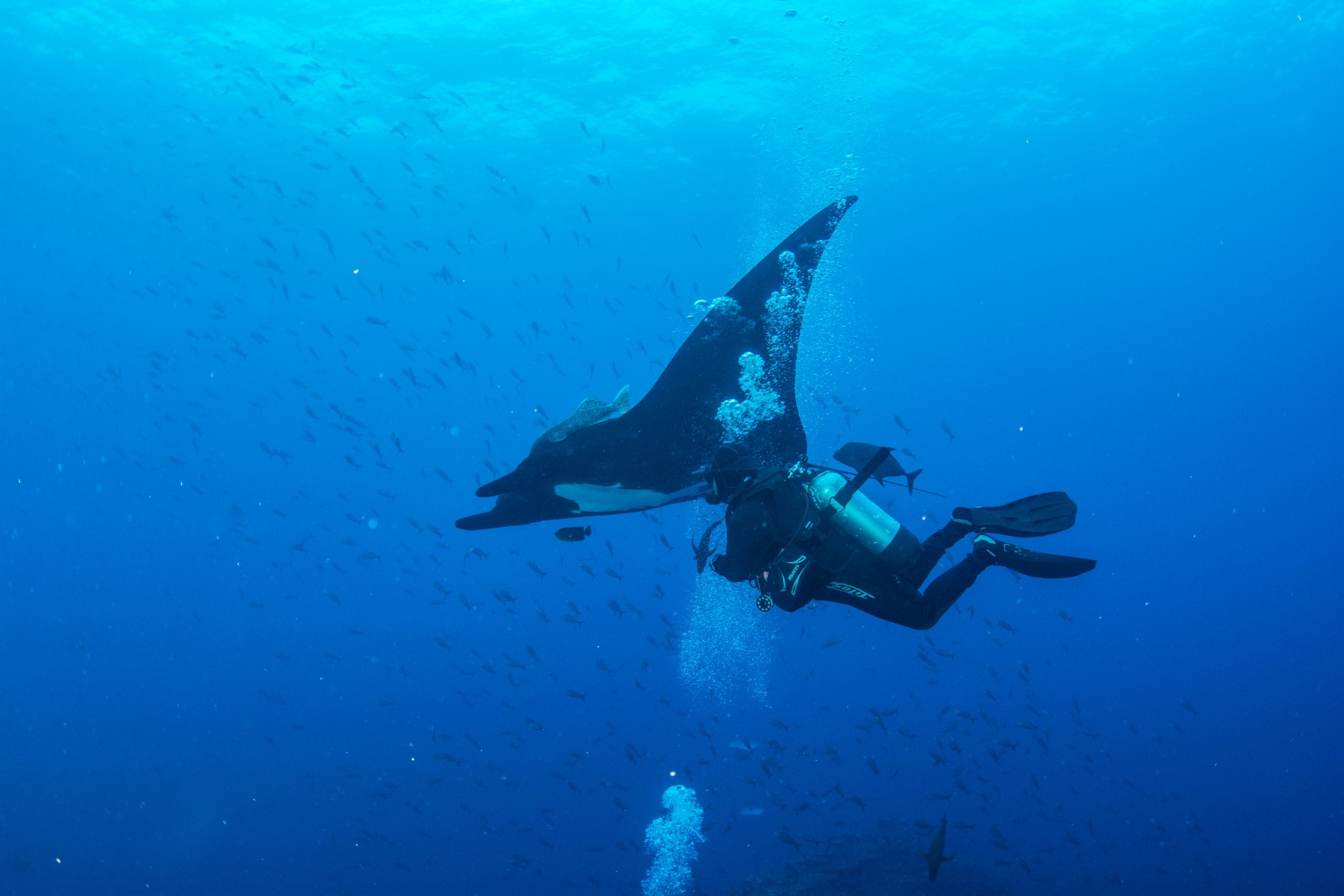 Nautilus Under Sea Guests Blogs