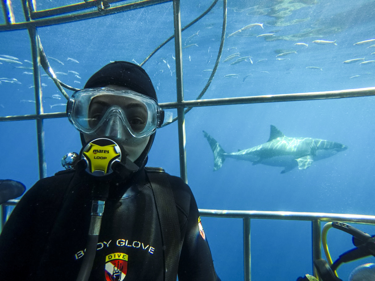 Shark Cage Selfie, Photo by Miguel Guzman