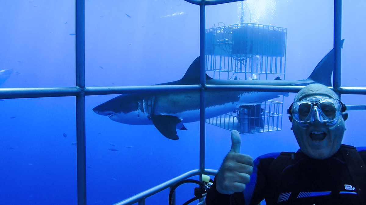 A Great White Cage Selfie