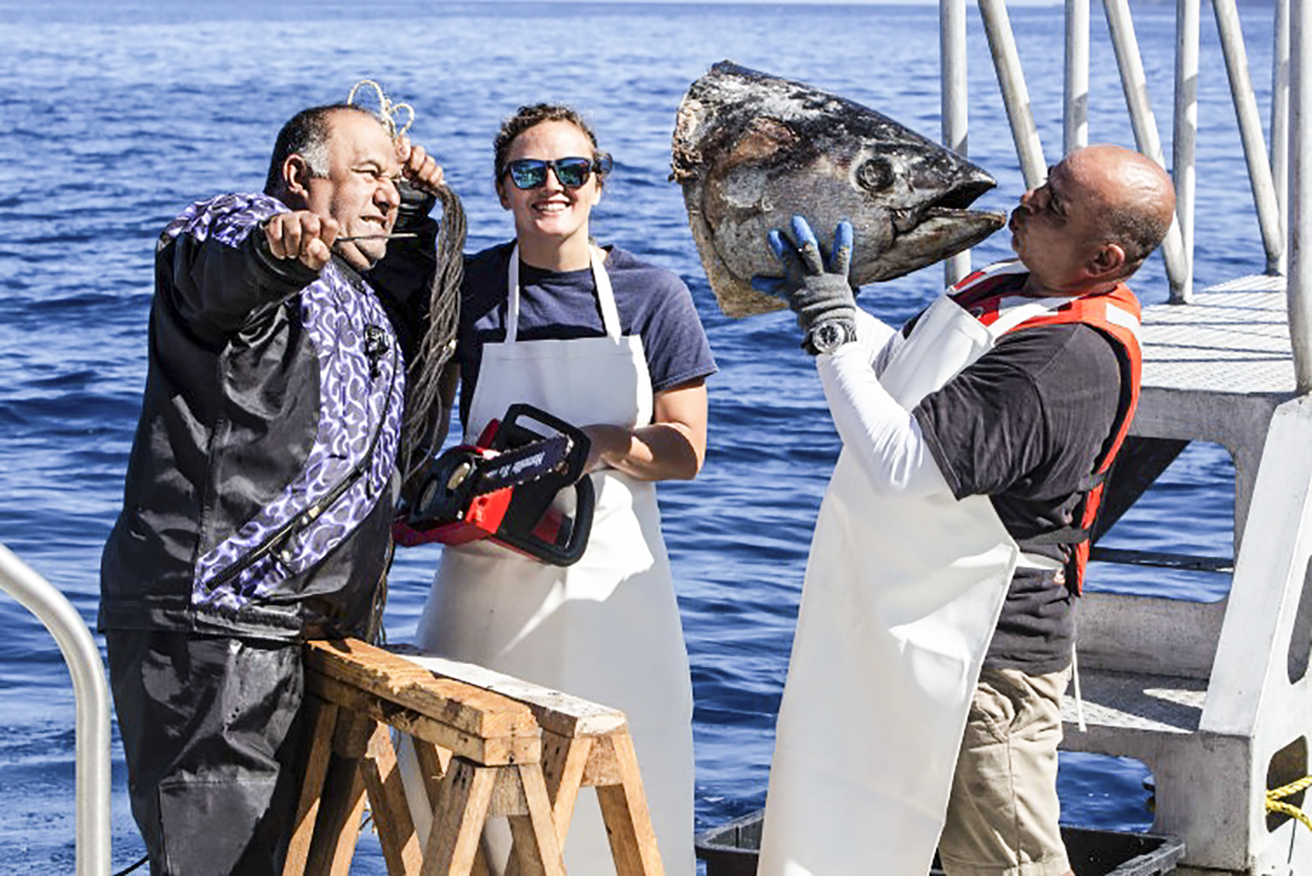 Tuna kisses on the dive deck