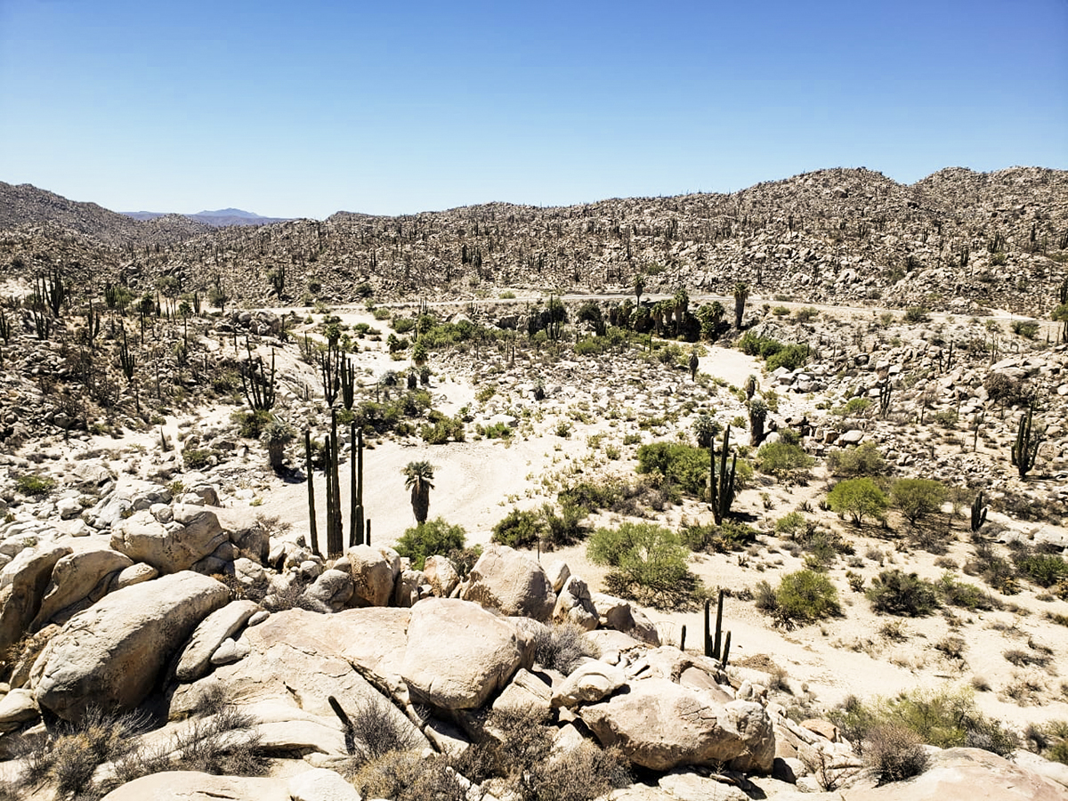 The desert of Baja California