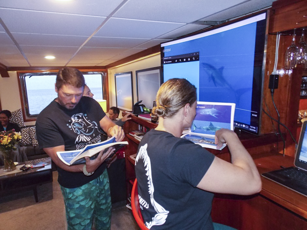 Great white shark identification on the Nautilus Explorer