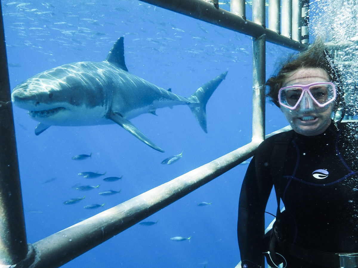 A smiling shark selfie