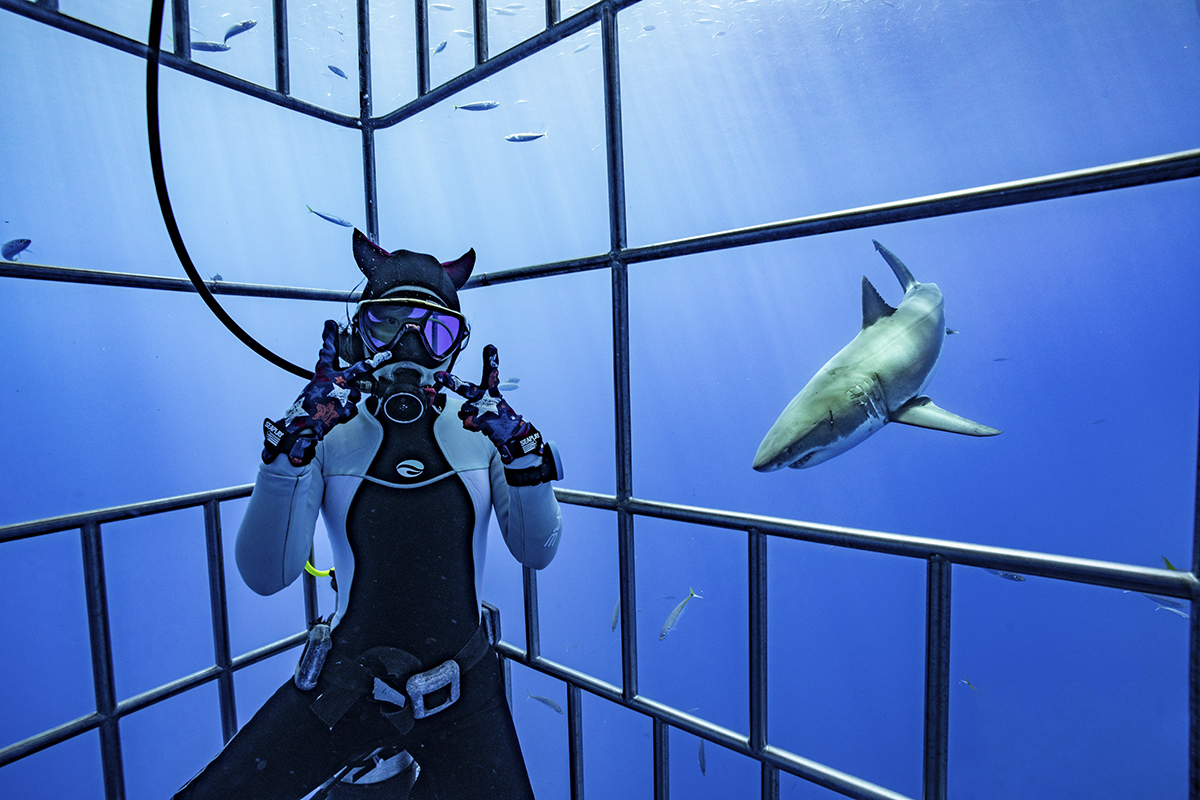 Shark selfies are the best selfies, photo by Sam Zhang