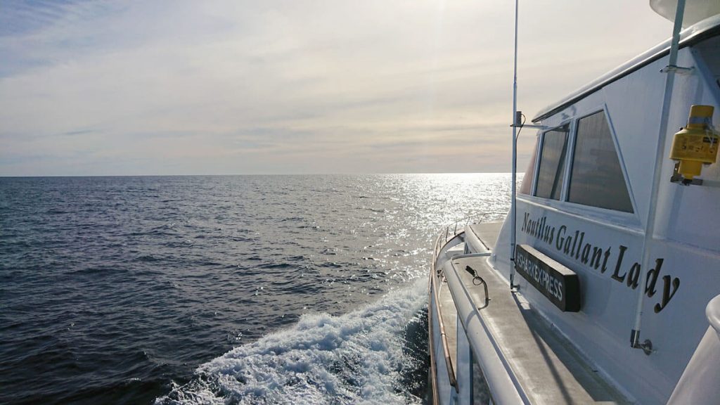 one of the first photos sailing on the Gallant Lady