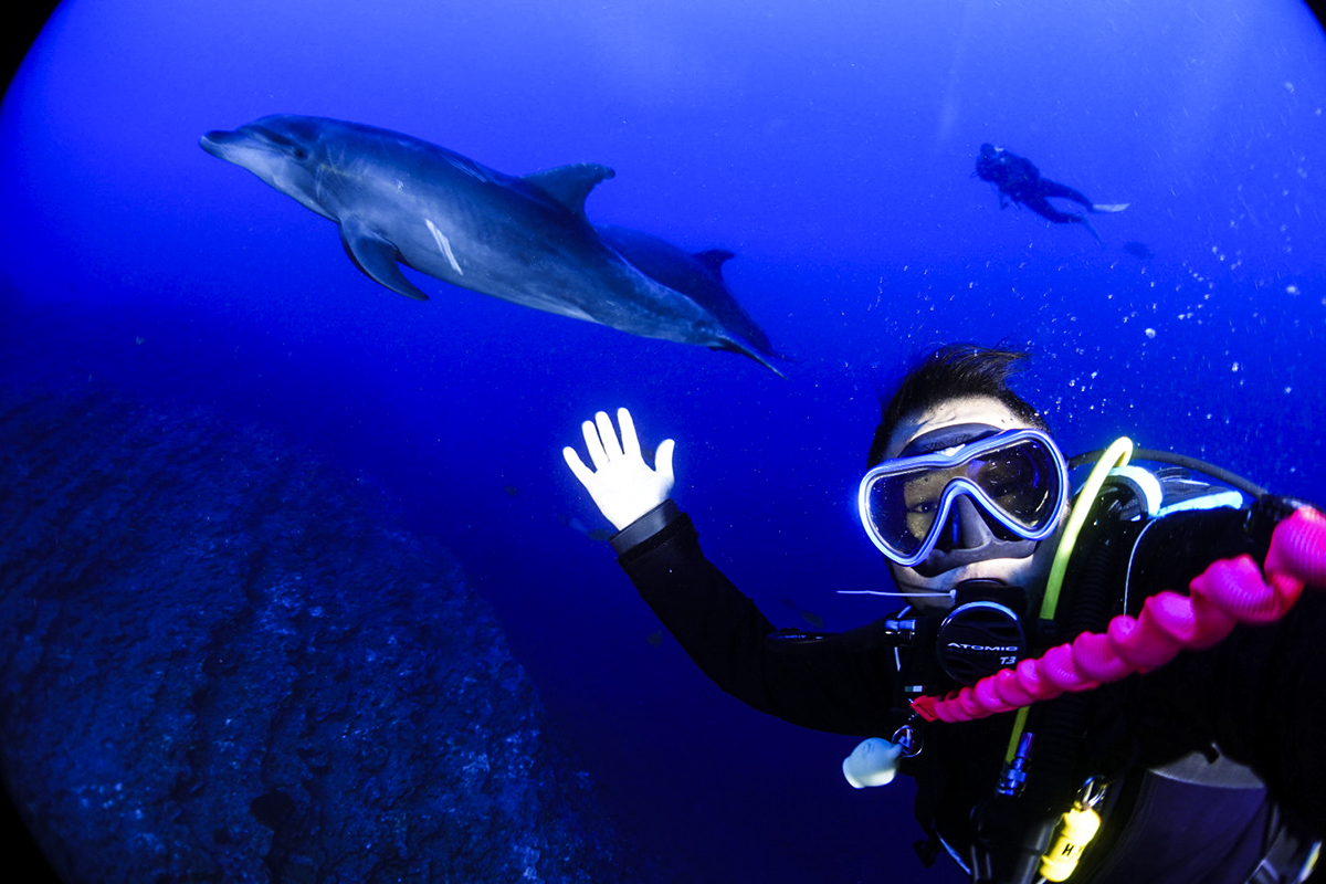 Dolphin Selfies!