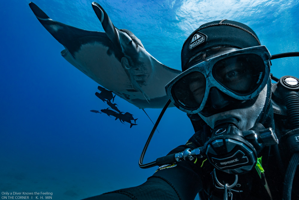 Scuba diving tours in the Sea of Cortez, manta ray