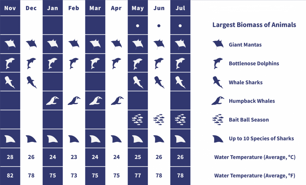 Socorro Wildlife Calendar
