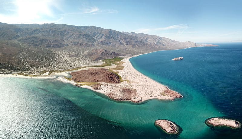 animas in gulf of california 