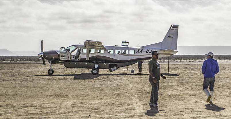 Fly to San Ignacio Lagoon to watch pacific gray Whales