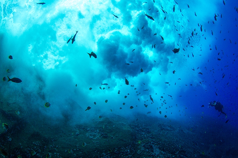 crashing waves while diving in Socorro