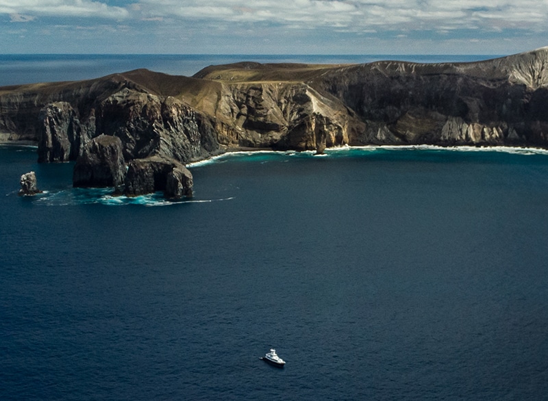 Remote diving in isla socorro mexico