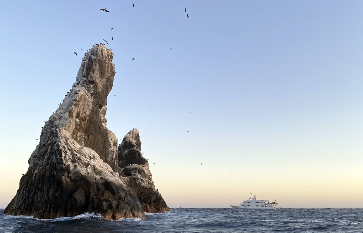 December Diving in Socorro Part II Nautilus Adventures