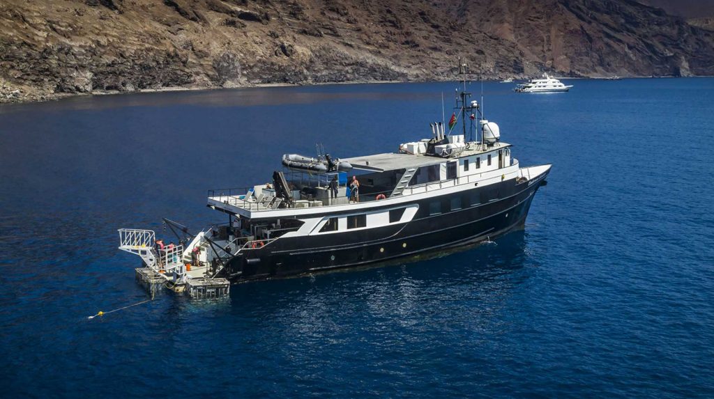 Socorro Liveaboard: The UnderSea