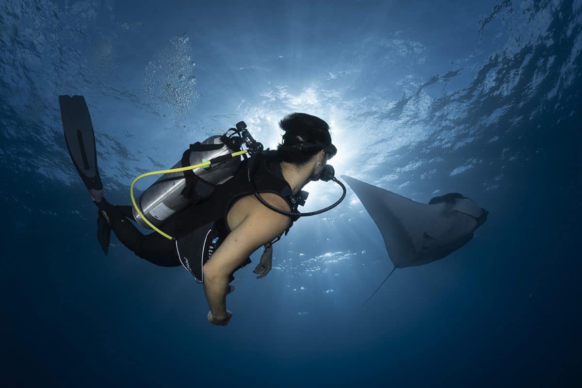 scuba diver with manta ray
