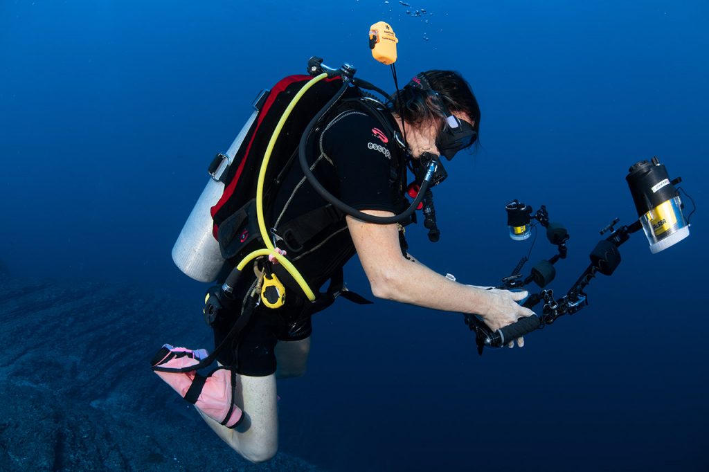 underwater photographer