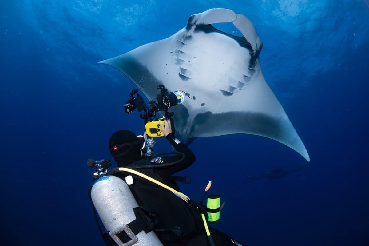 Top Underwater Photography Tips for Socorro