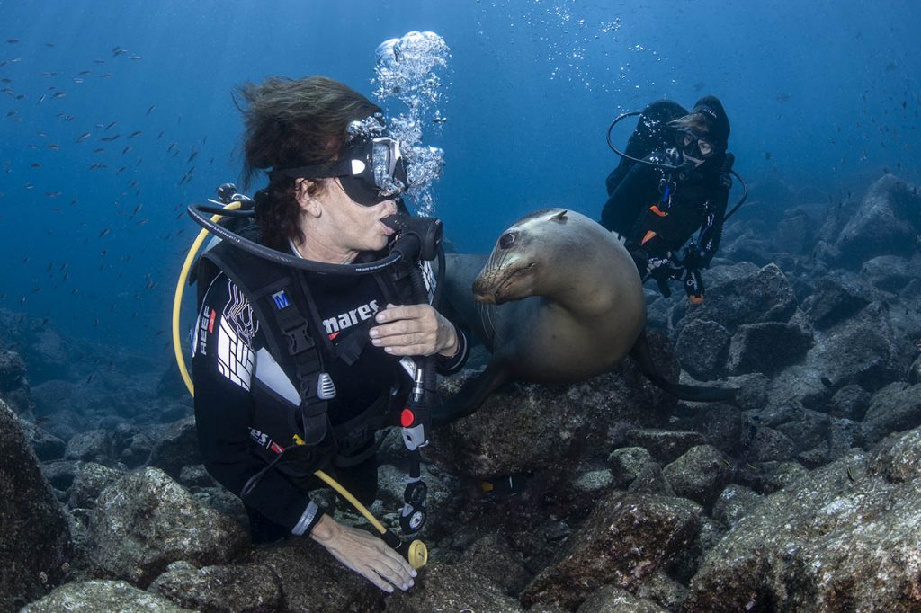 Sea of Cortez Diving