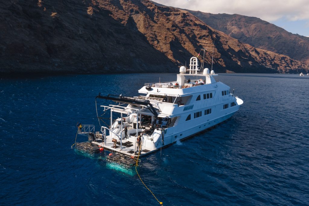 Nautilus Belle Amie in station for Shark cage diving