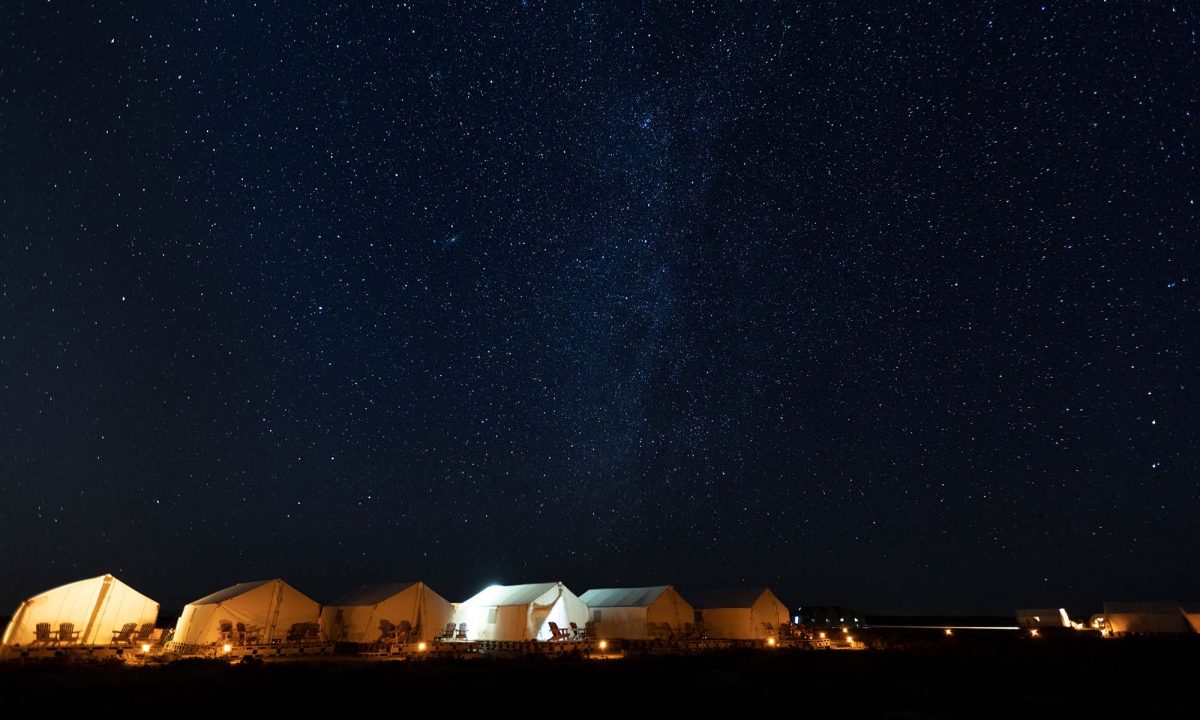 The Heart of the Reserve: Where Whales and Birds Meet