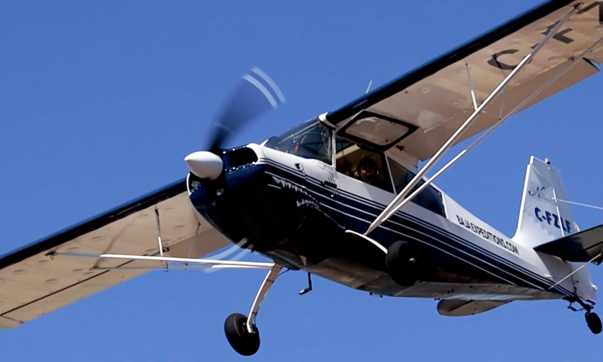 Spotter Plane, Whale Watching Tours