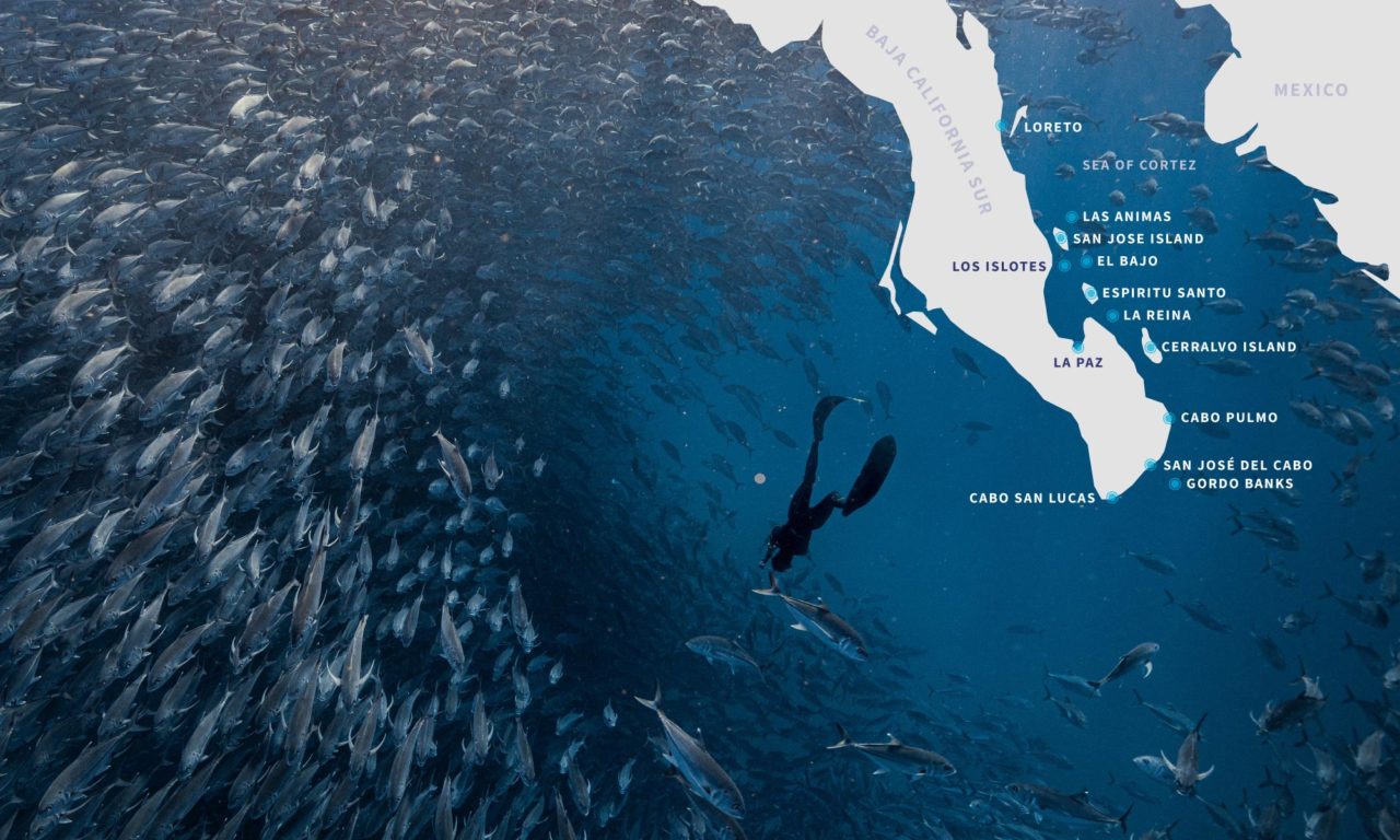Final Verdict Is Baja Mexico Safe To Visit Sea Of Cortez BG MAP 1280x768 