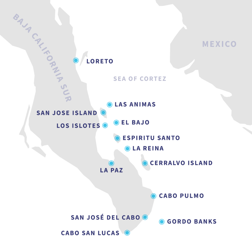 Sea of Cortez map showing Baja California Sur and key islands