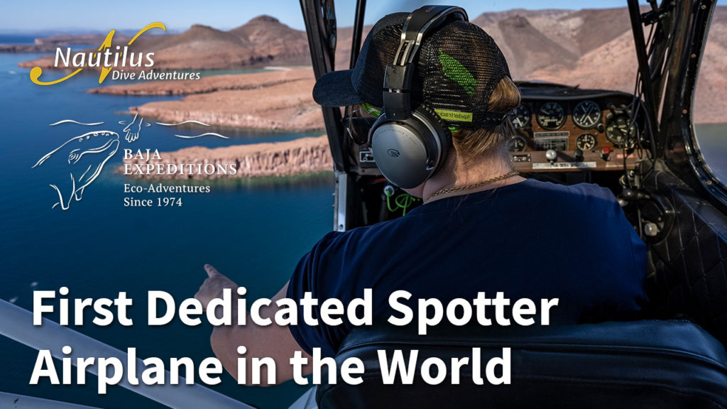 Dedicated Spotter Airplane - Nautilus Liveaboards
