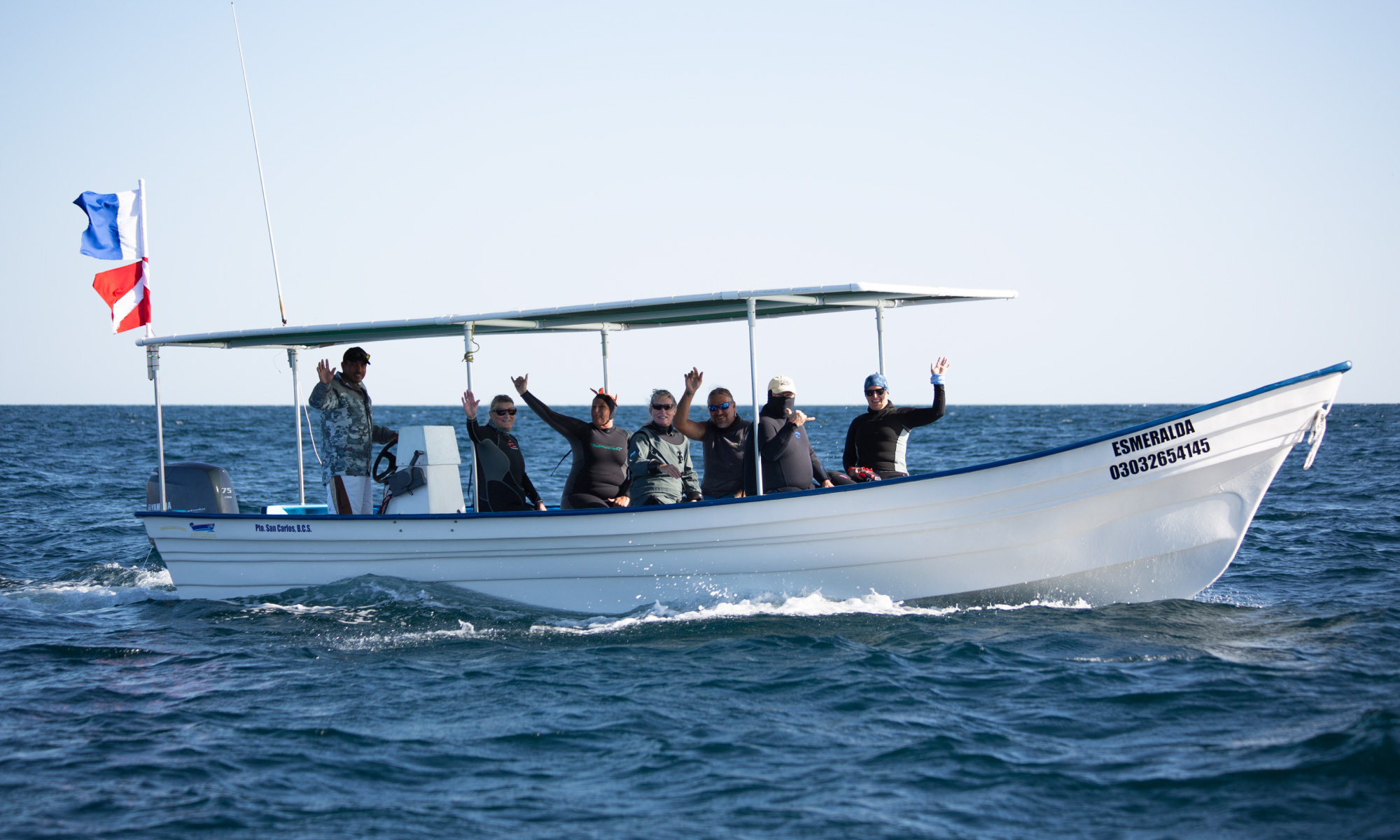 Destination Marlin & Bait Balls Mexico Sardine Run