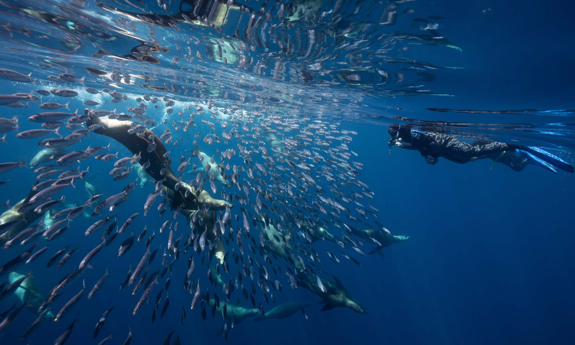 magdalena Bay Mexico