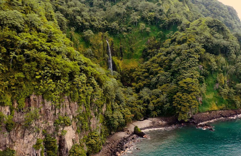 Costa Rica Ocean & Rainforest