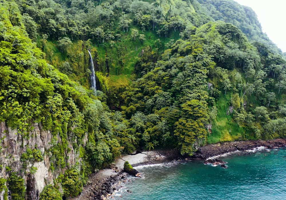 Costa Rica, Waterfall & Rainforest