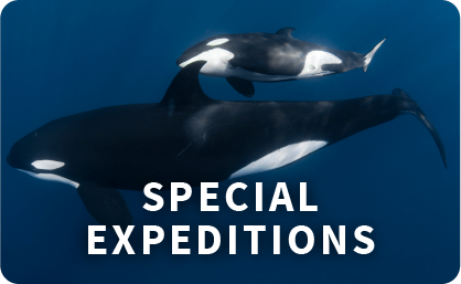 Header-Specials-Expeditions