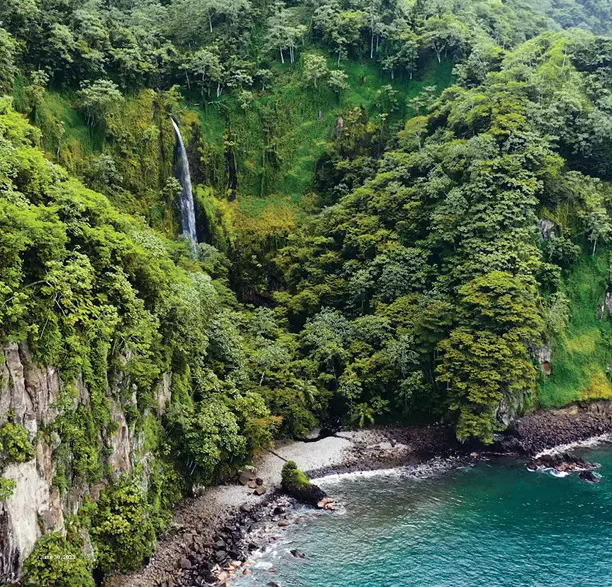 Costa Rica Ocean & Rainforest
