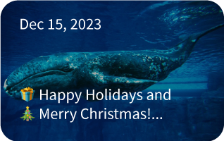 Happy holidays Nautilus