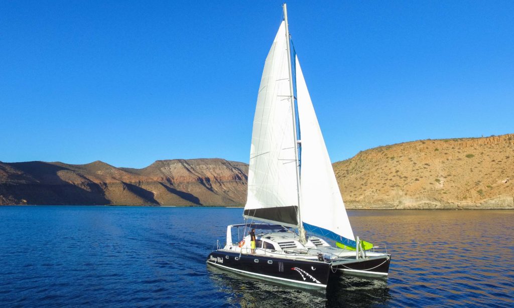 Mango Wind sailing catamaran in the Sea of Cortez, with an uninhabited island and blue skies in the background..