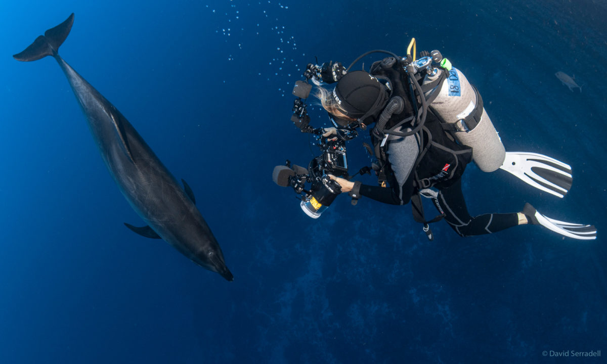 What to pack for scuba diving in Socorro?