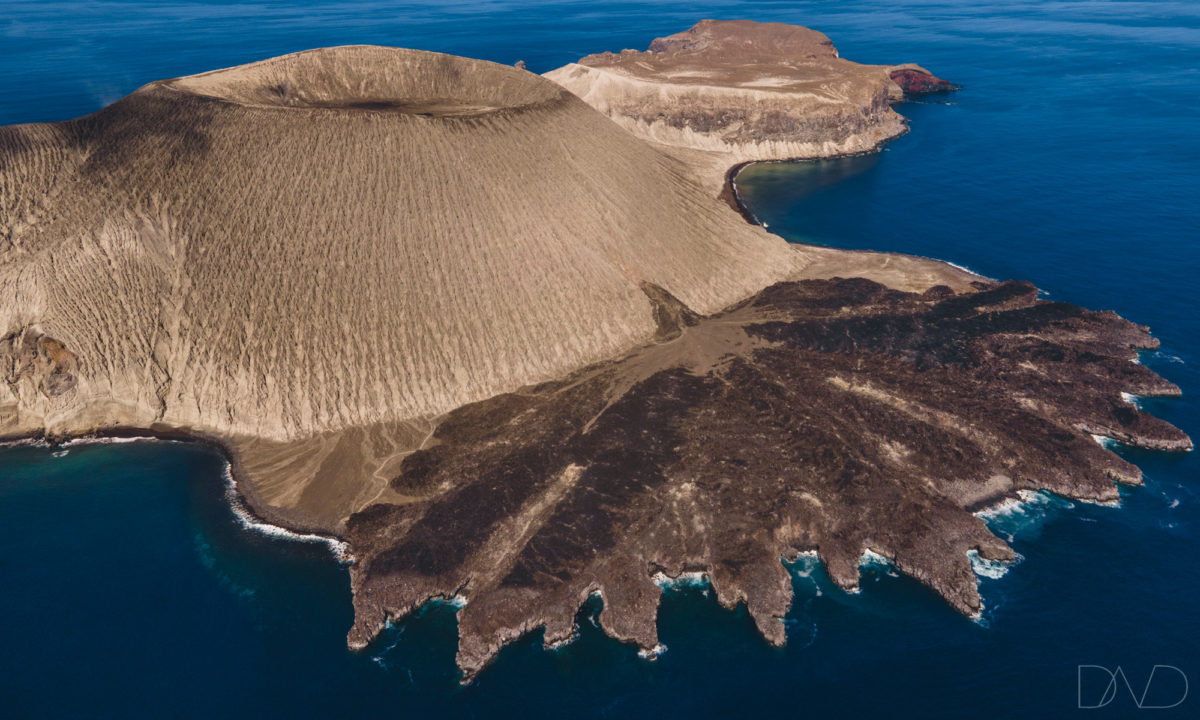 The best dive sites in Socorro