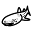 Whale Shark Interaction