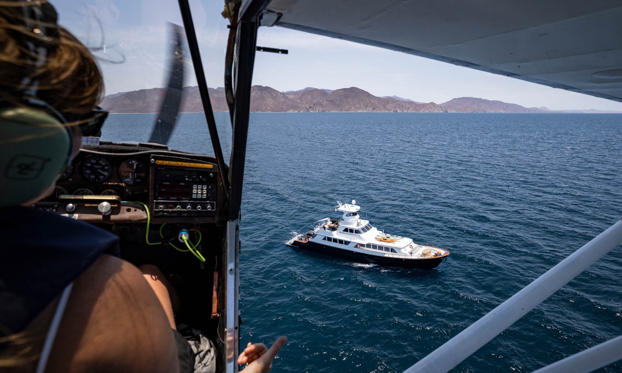 Baja Ultimate whale expeditions