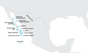 Curious about the Baja Peninsula beyond the Sea of Cortez