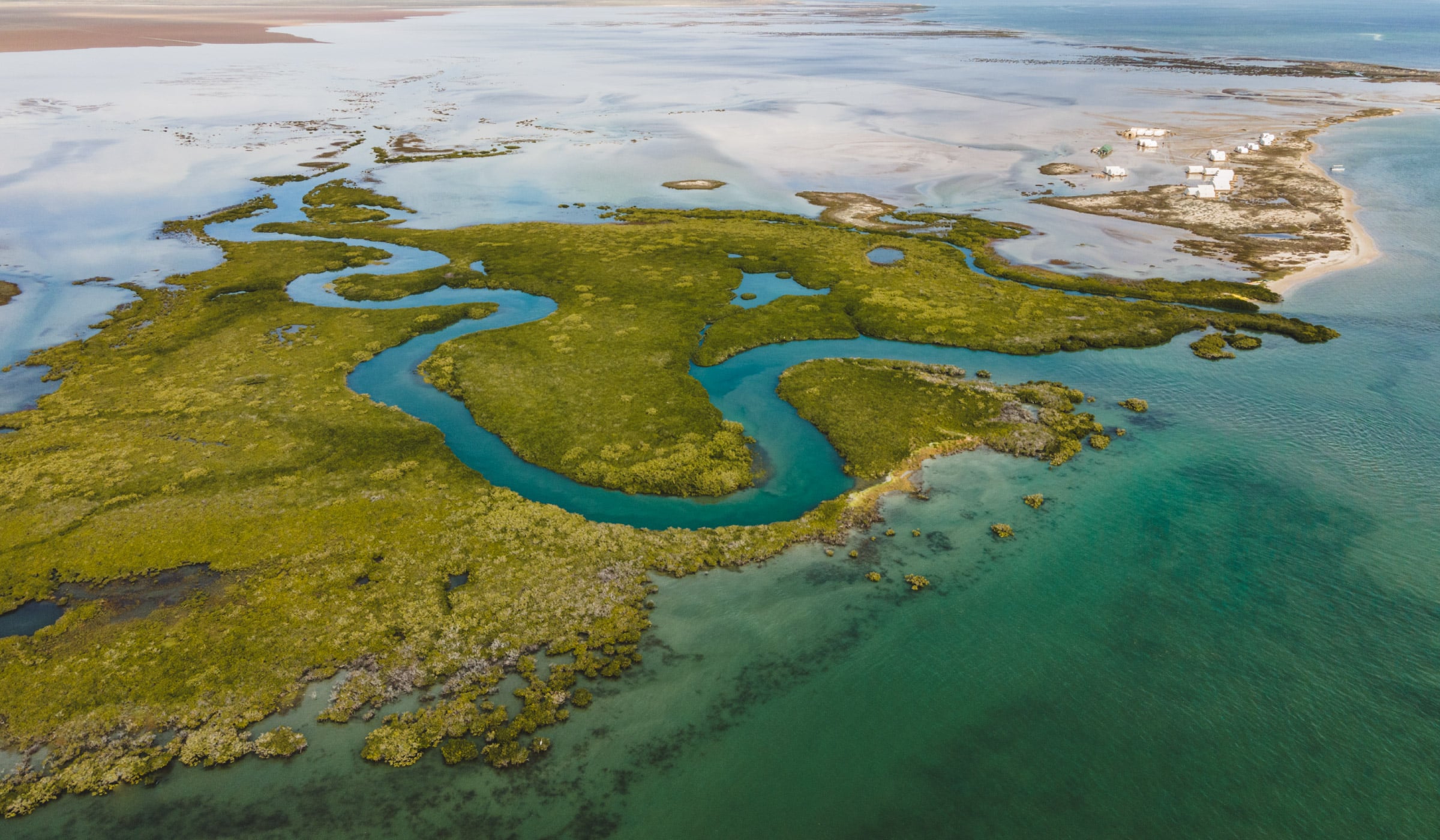 San Ignacio Mangrove
