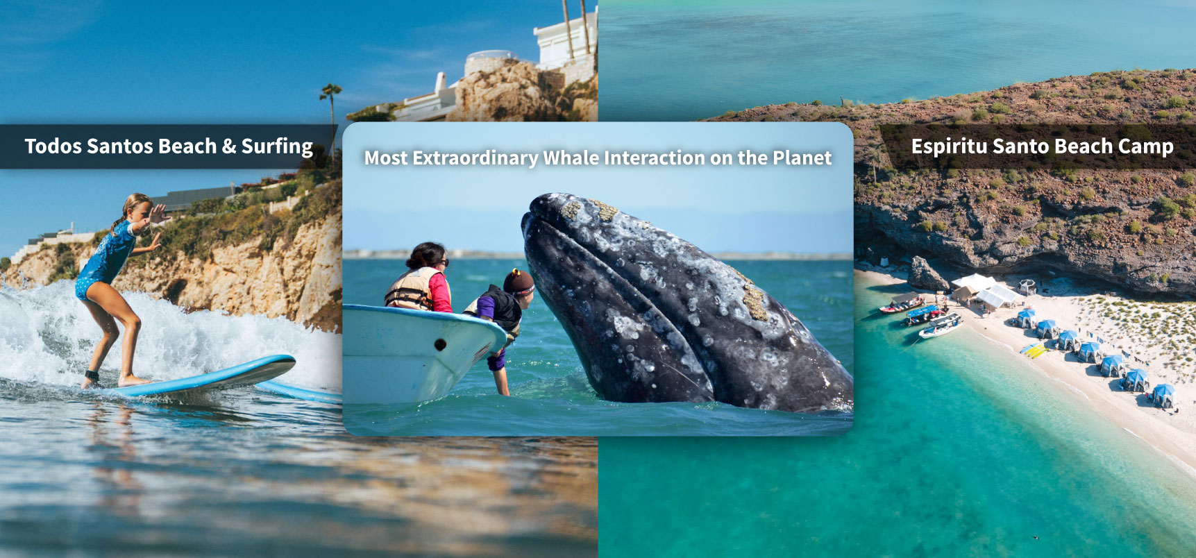 SIL Baja Blast 12 day combo