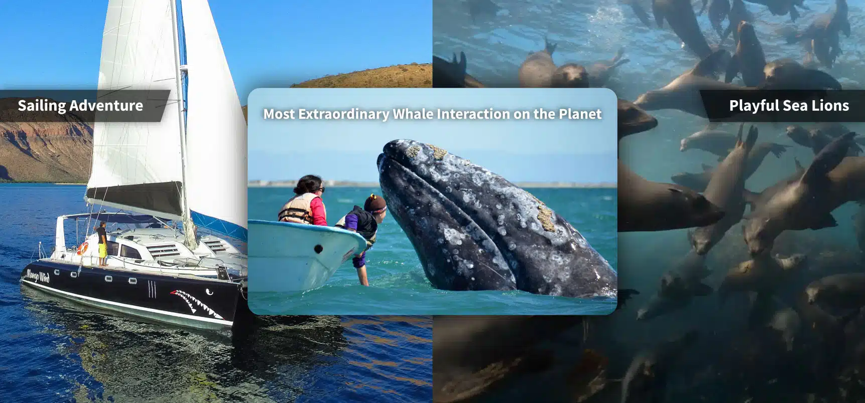 SIL Sailing Adventure